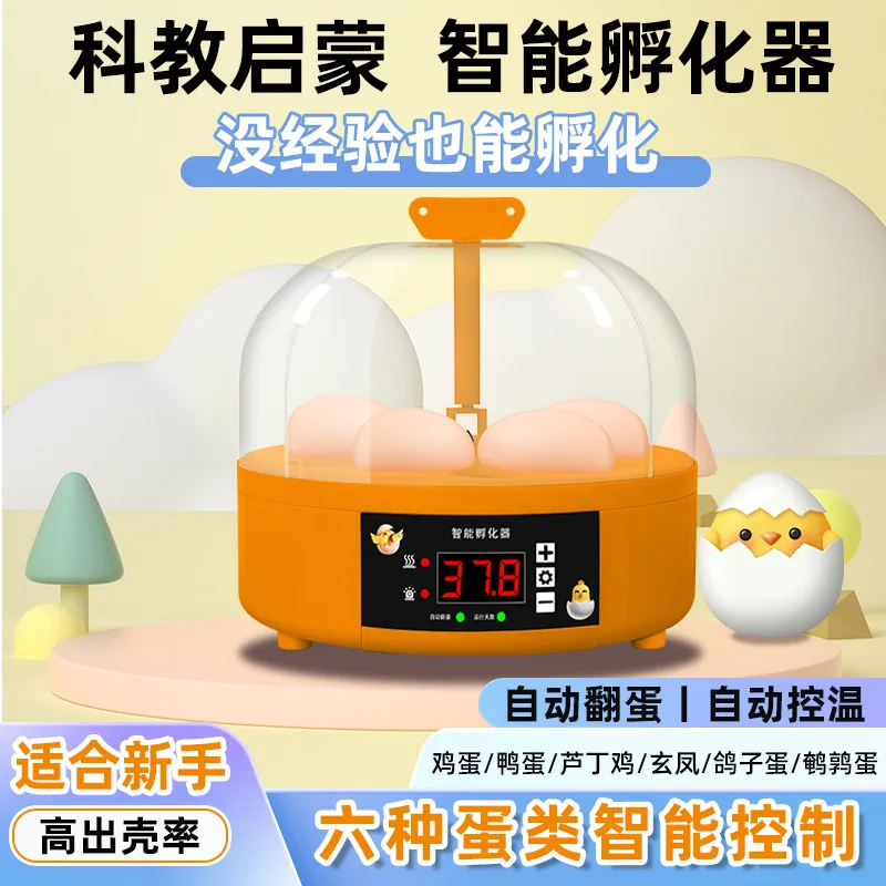 

For Sea Shipping, Customized Children's Egg Incubator for Hatching Chicks, Rutin Chicken Incubator, Small Household Intelligent