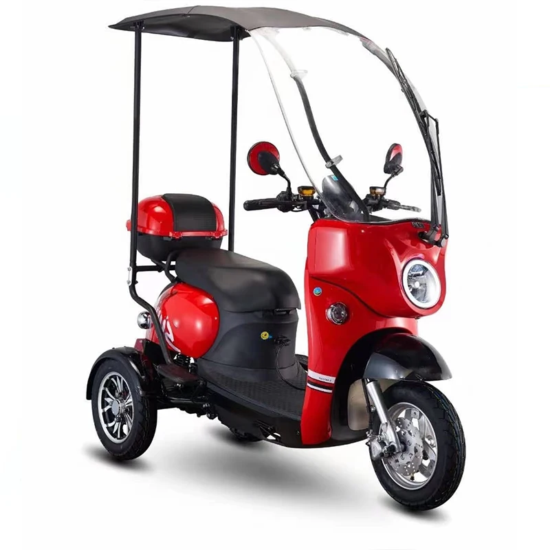 

China Best Sale electric tricycles for 2 people three wheel With Canopy 1000W Adult Trick Motorcycle For Passenger