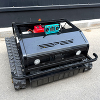 Customized Multifunction CE EPA Approved All Terrain RC Grass Cutter Rubber Tracks Robot Remote Control Lawn Mower