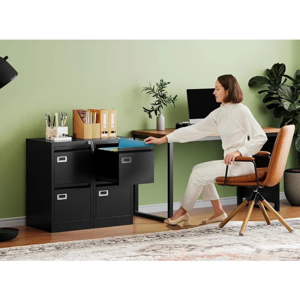 Metal Vertical Filing Cabinet with Lock, 2 Drawer Storage for Home Office - Secure A4/F4/Letter/Legal Files Assembly Required