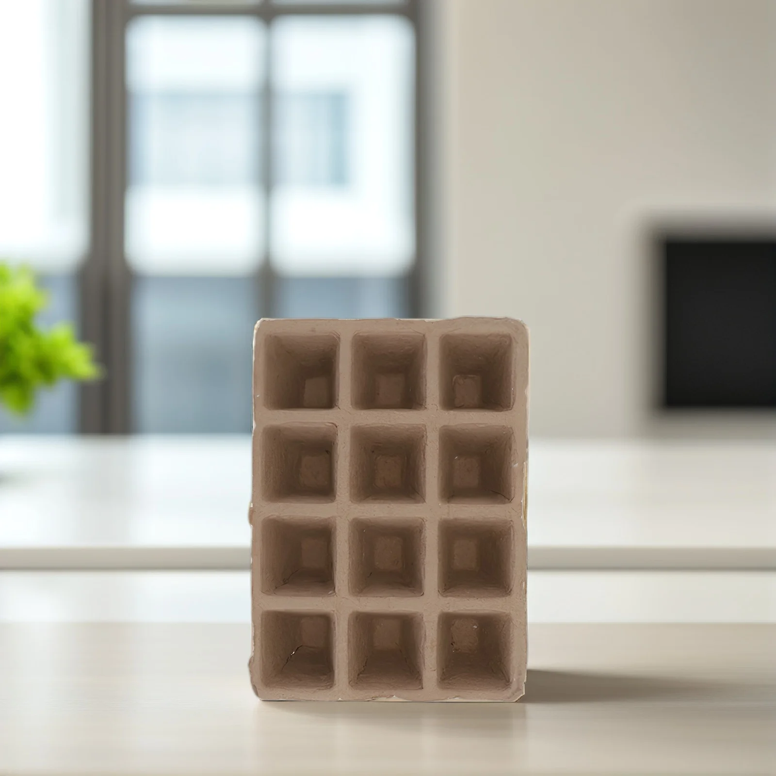 1 セットパルプ苗ポット生分解性植物苗床容器家庭園芸用防湿保温通気性