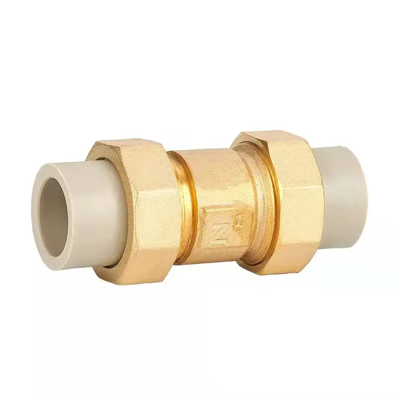 PPR check valve 1/2  20 minutes check valve 3/4 25 vertical one-way valve 1 inch 32 hot melt water pipe water meter