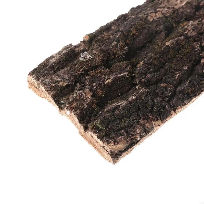 97QD Cork thân thiện với môi trường sống của Vỏ cây Xuất vật cho các loài bò sát
