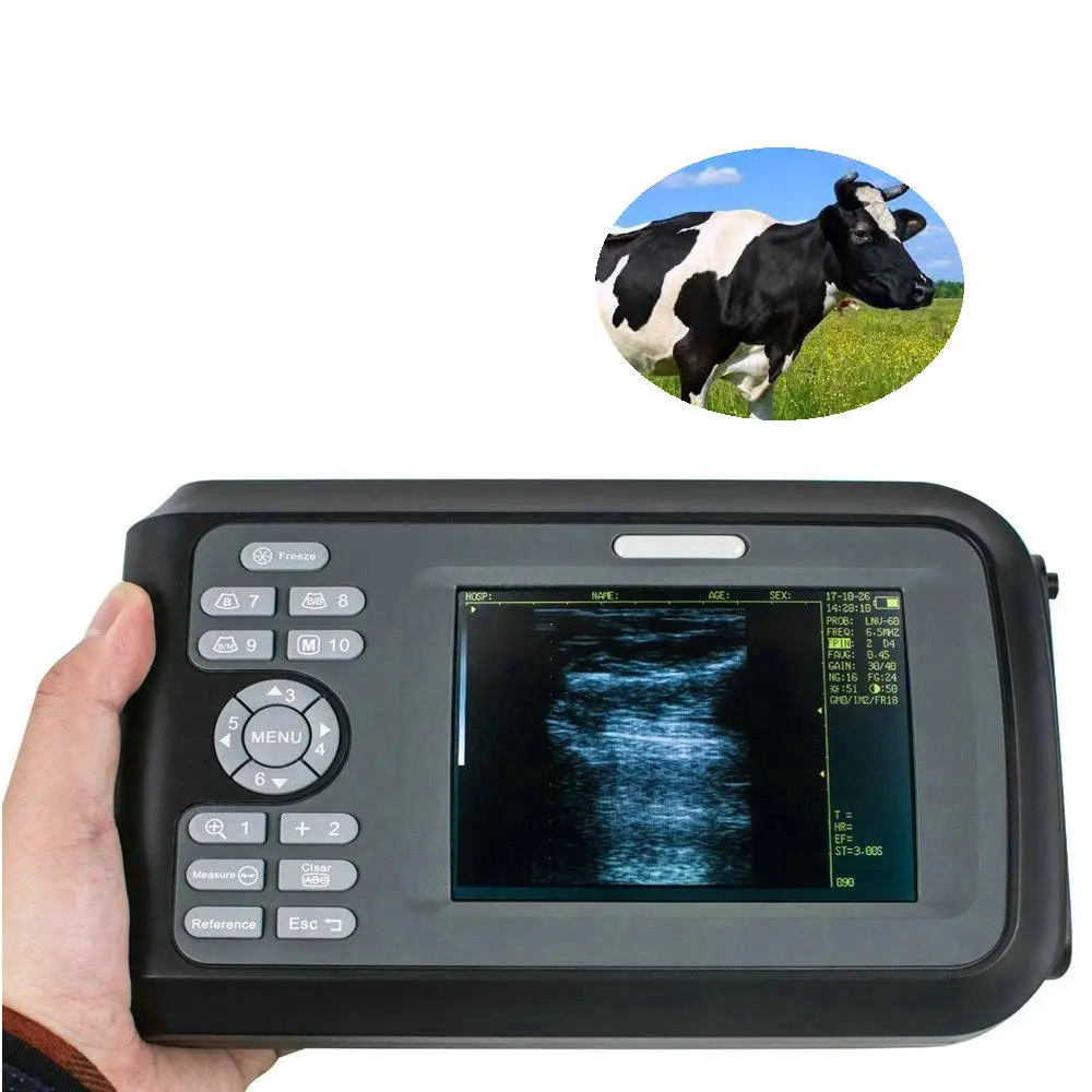 Handscan v8 Cheap Portable Rectal usg probe Vet Veterinary handheld veterinary vet ultrasound machine for pig sheep cattle goat