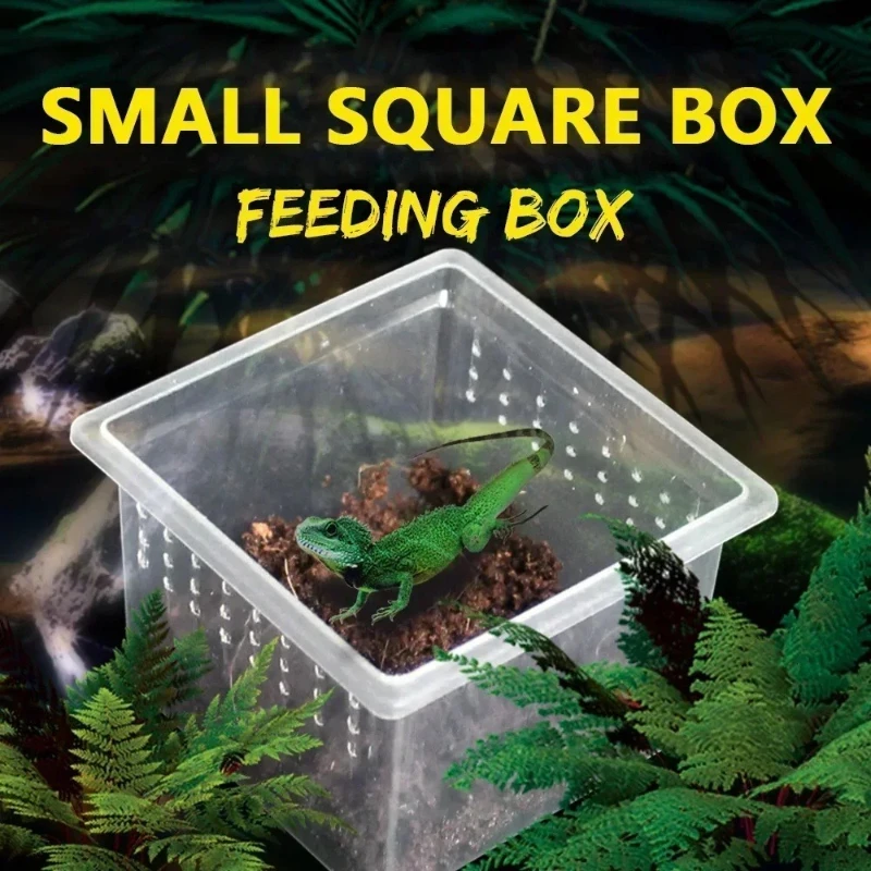 Portable Transparent Reptile Breeding Box 3