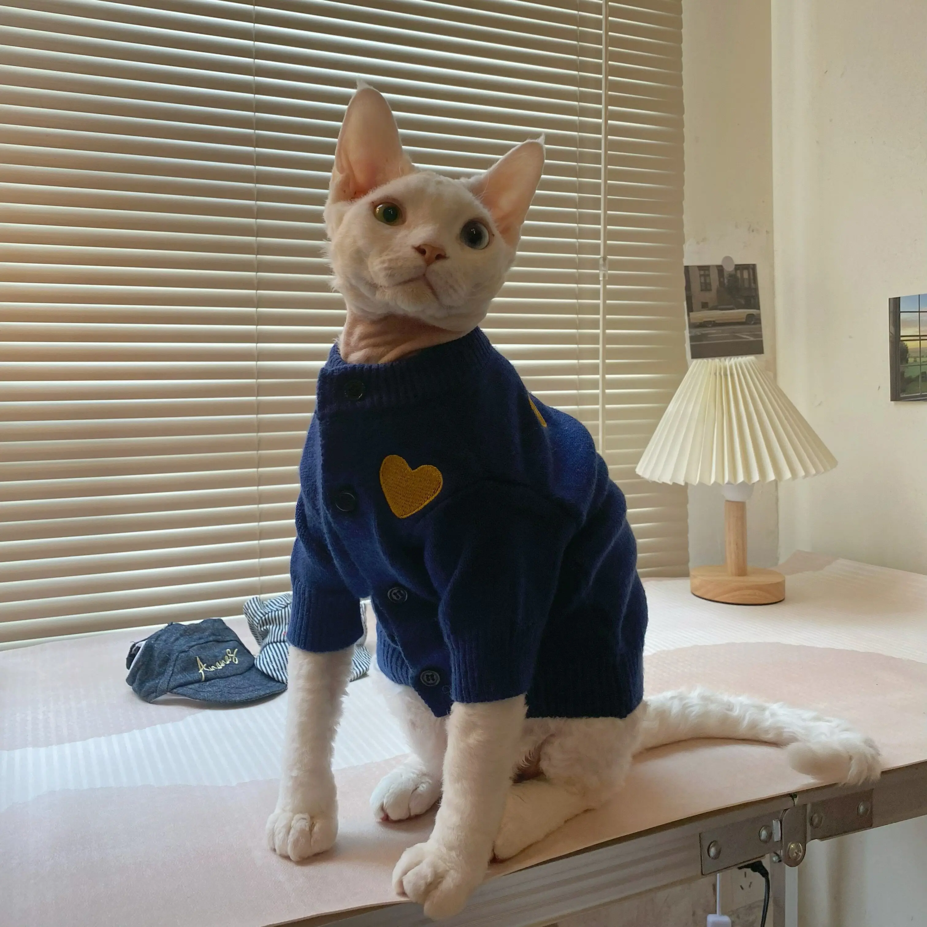 Sphynx Cat Button Knit Jacket in Winter Warme jas met lange mouwen voor Abyssinische kat Lente Herfst Vest Loungewear voor kittens