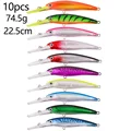 74.5G-10Pcs