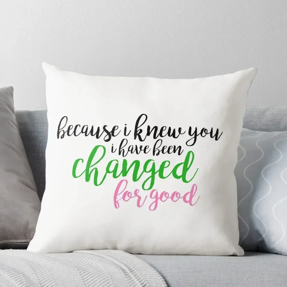 

I have been changed for good - Wicked Throw Pillow Luxury Sofa Cushions Pillowcases Cushion Covers Sofa pillow