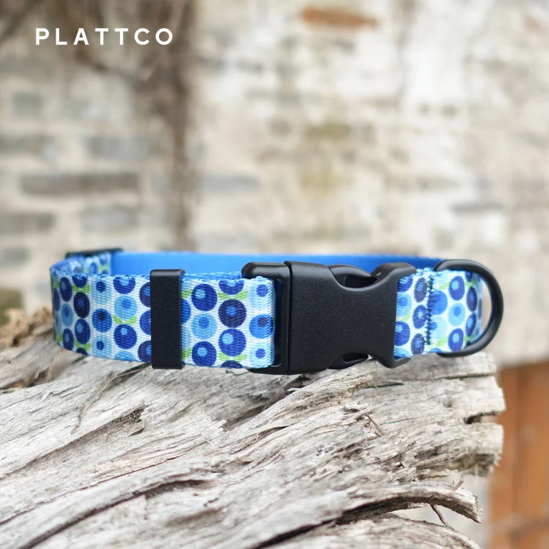 PLATTCO  nylon dog collar BLUE BERRY BOX personalized dogs collar with safety buckle for small medium large dogs 5 size PDC328