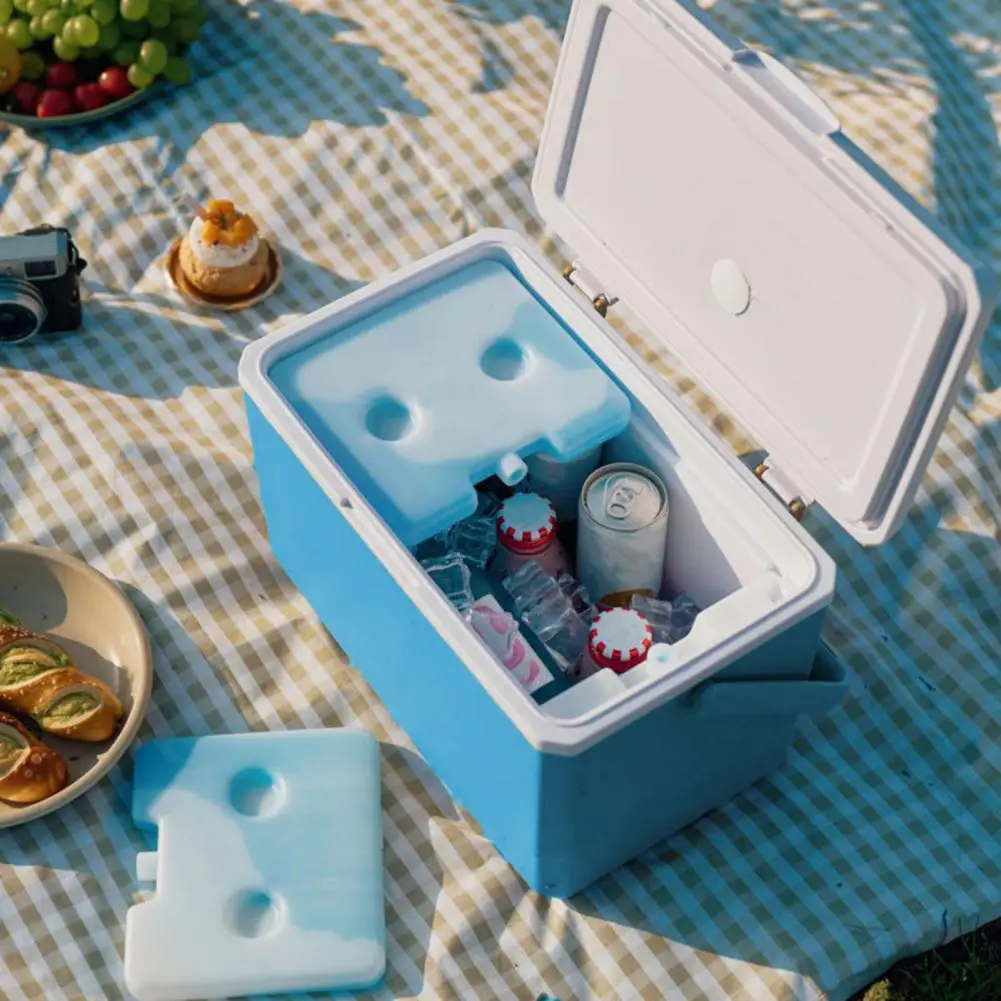 Mini Car Fridge 3l Portable Camping Refrigerator Capacity Food Preservation Box for Car Ice Bucket for Outdoor for Camping