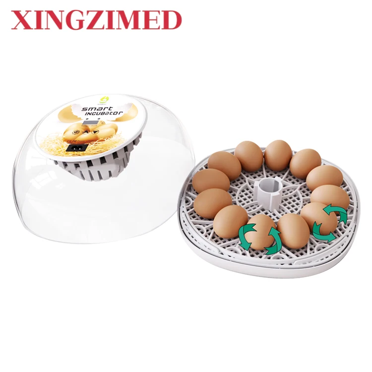 WONEGG تصميم جديد لضبط المياه الخارجية حاضنات أوتوماتيكية للفرخ حاضنة بيض الدجاج الصغيرة الأوتوماتيكية