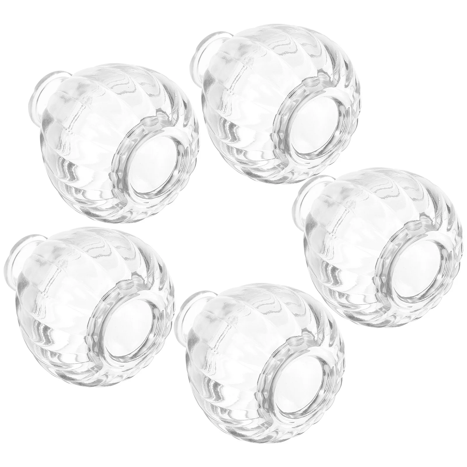 

5Pcs Embossed Glass Flower Vases Clear Small Hydroponic Plant Container for Home Floral Arrangement Glass Vase