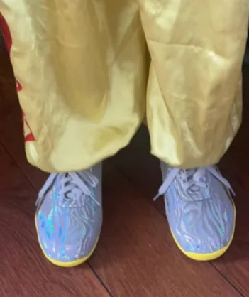 

Классическая брендовая удобная обувь для китайского кунг-фу, профессиональная обувь для боевых искусств, обувь высшего качества для тренировок по тхэквондо