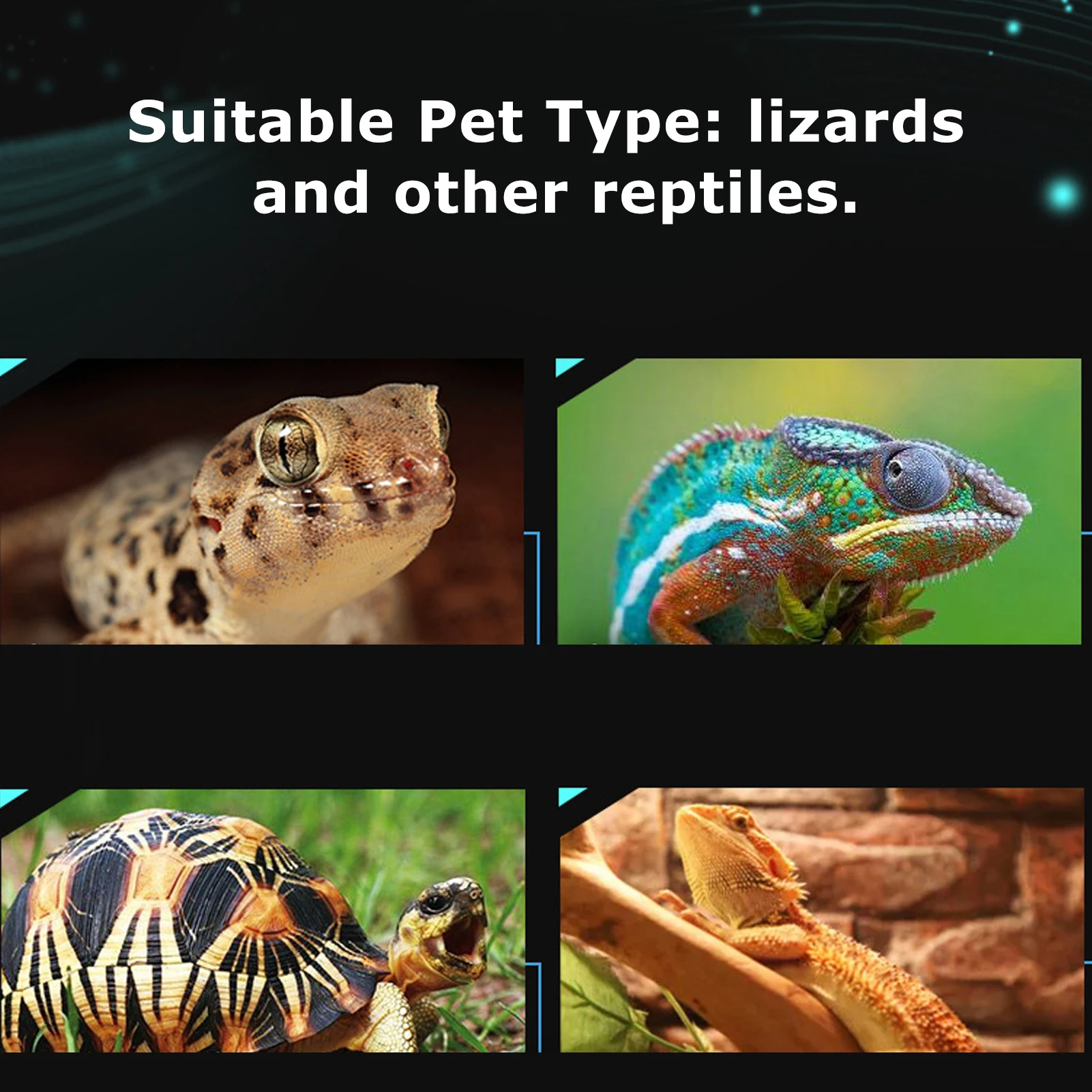 Thumbnail 3 - #25 Trending Pet Thermometers Right Now