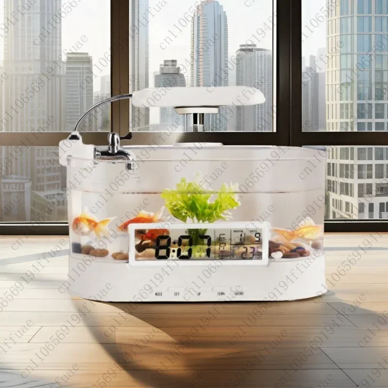 Compact Aquarium, Living Room Ecological Aquascape, Complete Goldfish Bottom-filter System with Ecological Landscaping.