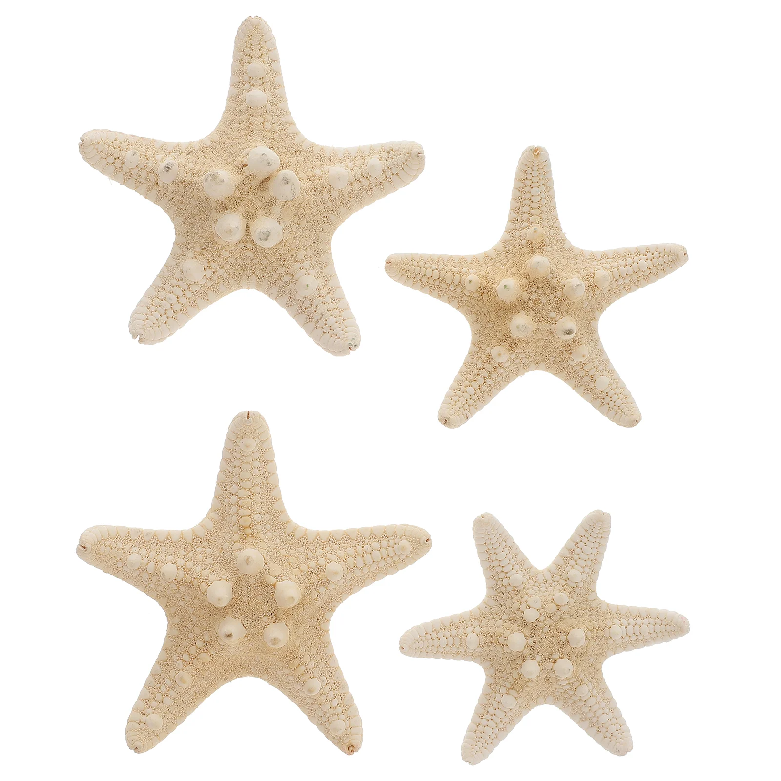 

4 Pcs Natural Seastar Decor Home Garden Overlord Star Shell Conch Wall Landscaping Home Decoration Pet Products Ocean Theme