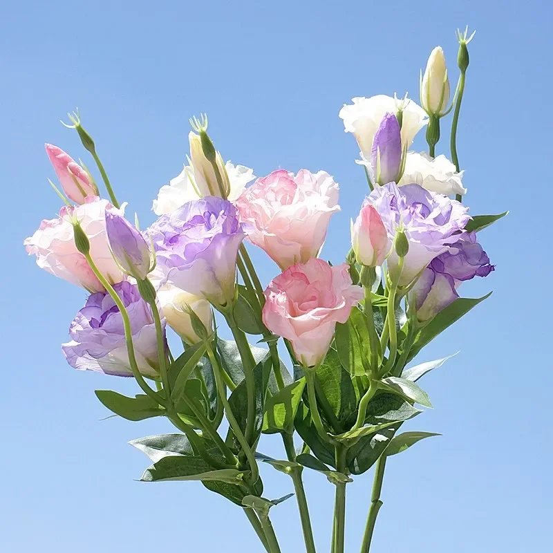 

3 Heads Silk Lisianthus Branch Artificial Flowers, Faux Flowers, Fake Flowers for Wedding, Home, Party, Dining Table Decoration