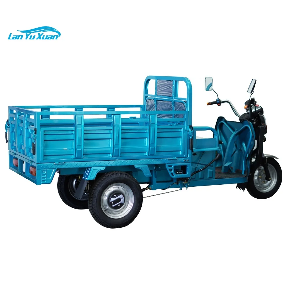 Electric Tricycle with Automatic Hydraulic System Powerful 1500W Big Tire Electric Cargo