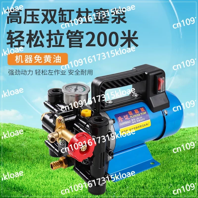 Portable dispensing machine Agricultural electric 12V48V60V220V high pressure double cylinder plunger pump