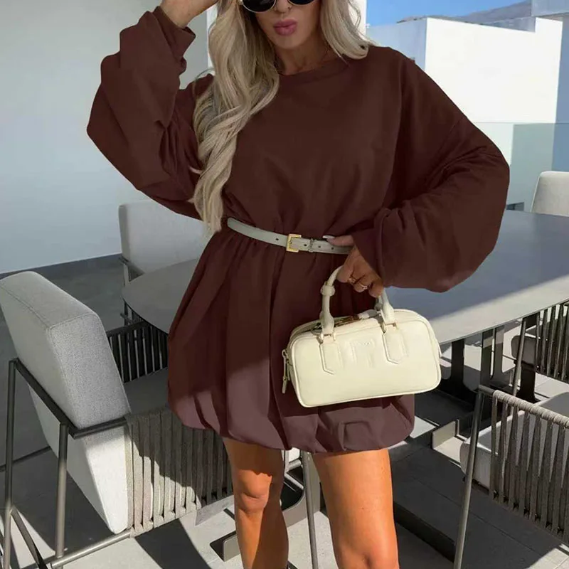 Autumn Winter Long Sleeve Sweatshirt Dress Woman Casual Round Neck Simple Pullovers Dress Fashion Solid A-Line Office Lady Dress