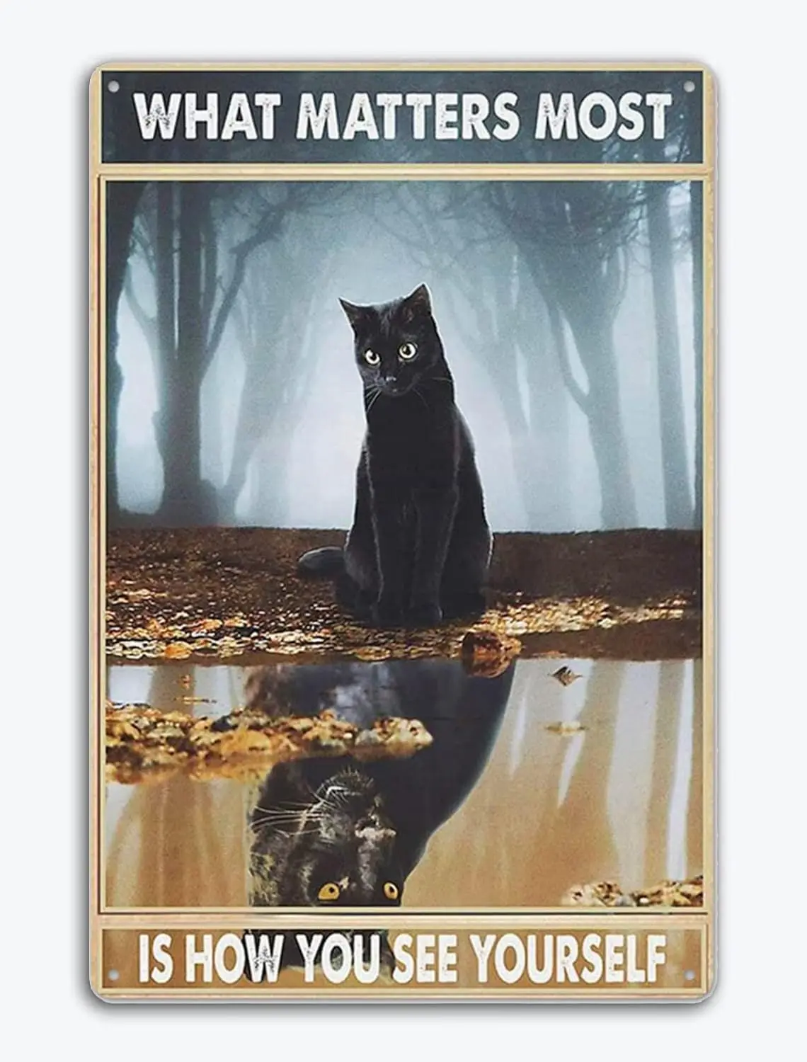 Black Cat Retro Metal Tin Sign Vintage Style Wall Decoration Home Bar Kitchen Hotel Dining Room Coffee Poster ,What Matter