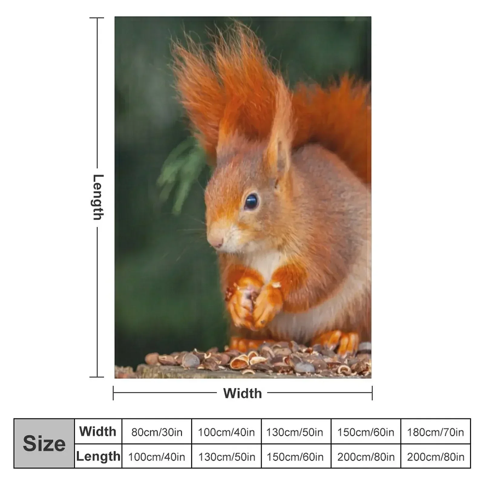 Red Squirrel Throw Blanket Cute Bed covers For Decorative Sofa Blankets