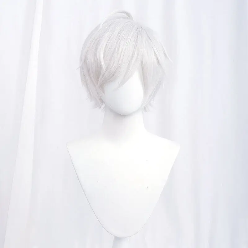 Perruque Cosplay Synthétique Courte Droite, Anime, Noir, Rouge, Bleu, 24 Couleurs, 30cm