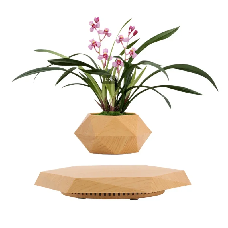 

Maglev potted plants, creative bonsai plants maglev