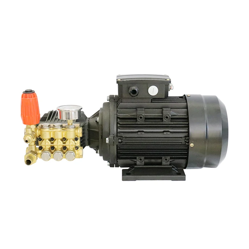 Portable 4KW 250Bar Electric Pump Motor High Pressure Cold Water Cleaning Pump