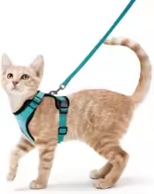 Cat Harness and Leash for Walking, Escape Proof Soft Adjustable Vest Harnesses for Cats