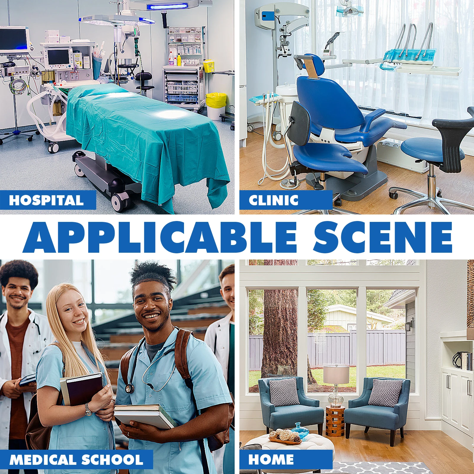 

6 шт. анатомический лоток для разбрасывания воска 18x25 см, биологические учебные пособия из нержавеющей стали, практичное, длительное использование