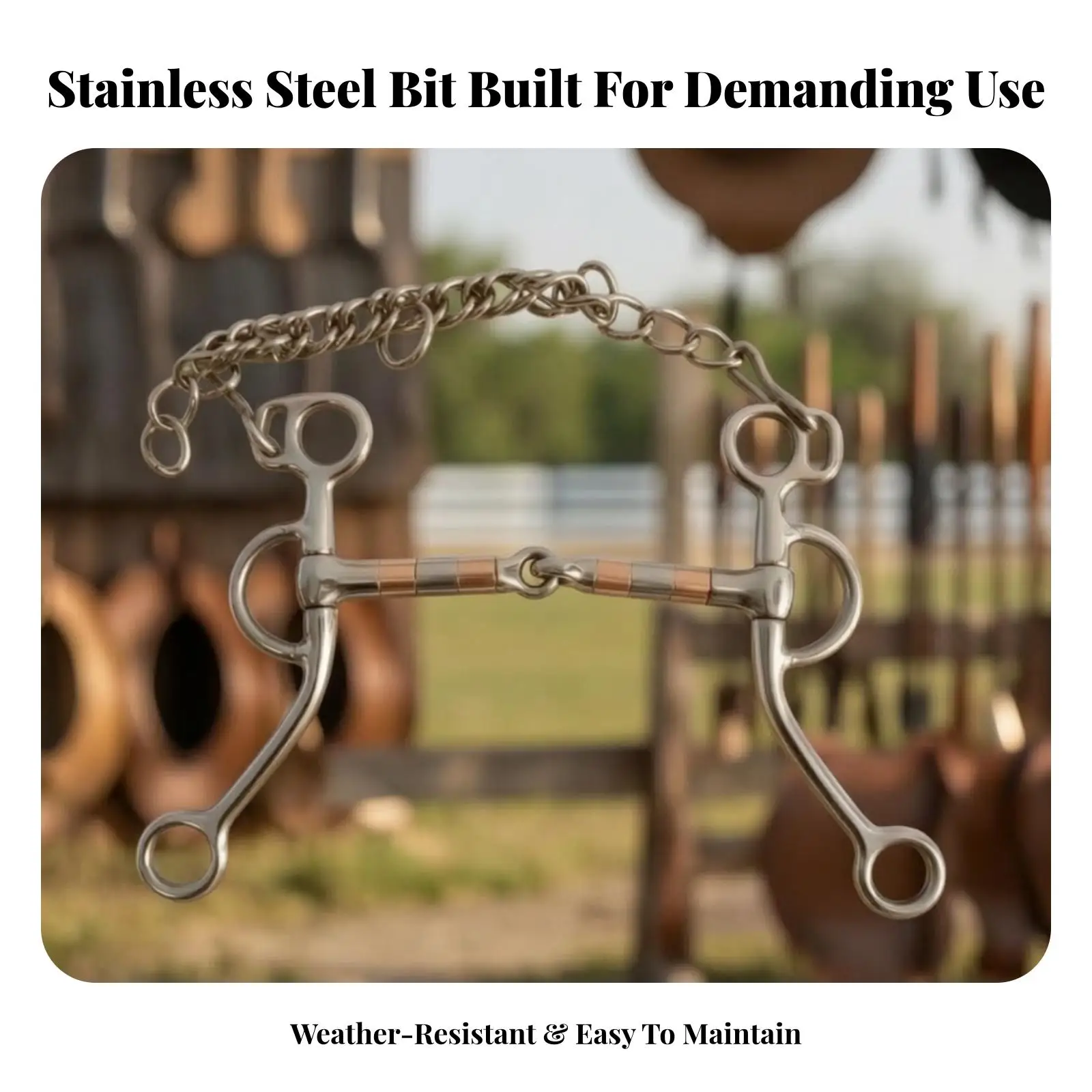 Horse Bit with Curb Chain Stainless Steel Jointed Curb Bit Chin Chain Long-Lasting for Equestrians, Equestrian Riding view 3