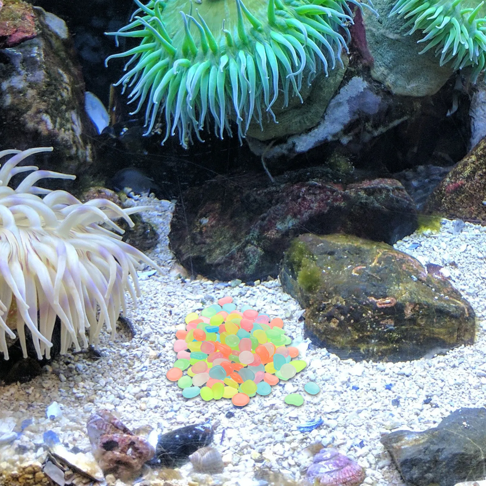 500Pcs Glow Stones Night Lumin - Aquarium Decoration Rock recension och pris