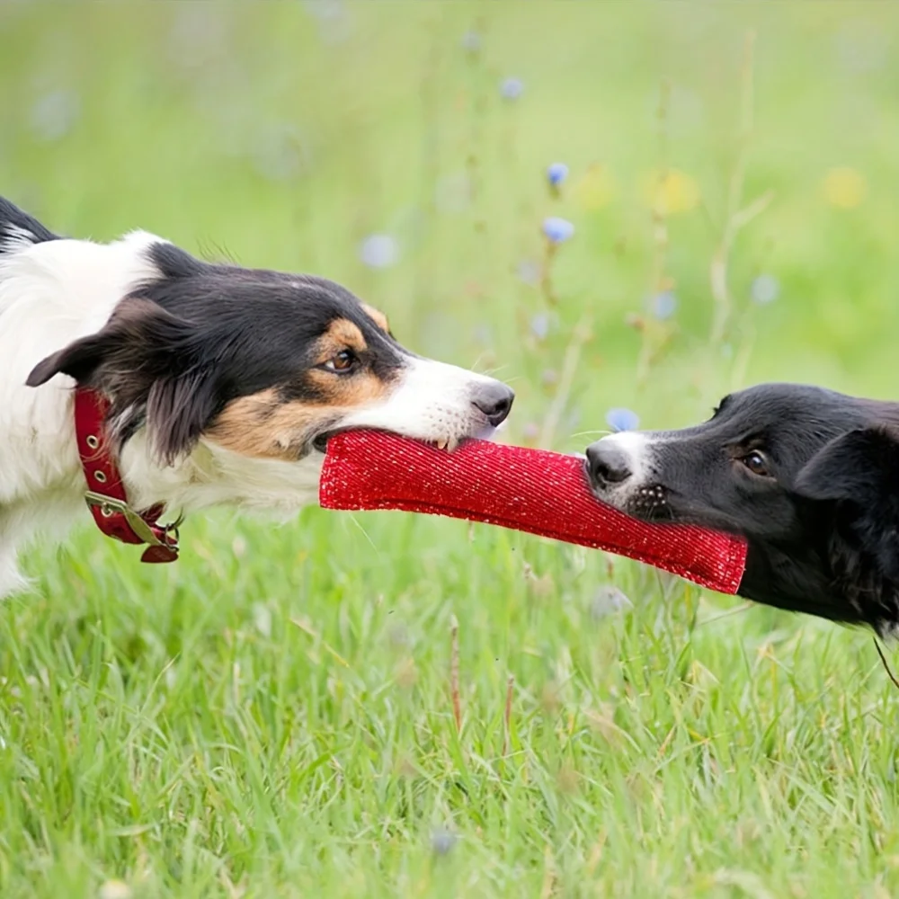 Dog Training Bite Stick Double Handle Interactive Toy Teeth Grinding Dog Training Stick Pet Dog Training Jute Sleeve Dog Toys