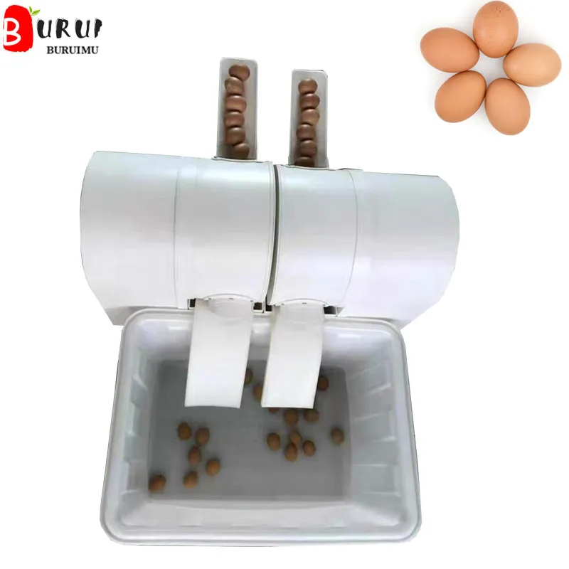 

small chicken egg washer machine poultry egg washing Equipment