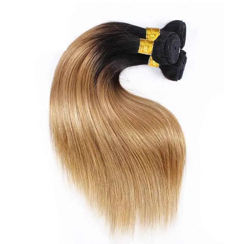 Mèches Naturelles Lisses Blond Ombré 1B/27, Extensions de Cheveux Vierges à Double Trame 12-26 Pouces, 100g/Pièce