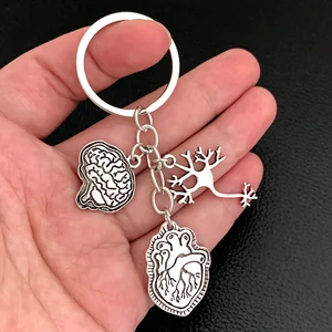 Medizinische Anatomie -Schlüsselbund in Zellform, Taschenkette, Geschenkjuwelen für Arzt und Krankenschwester, Herz und Gehirn, 1 PC 8 Hauptverkaufs -Keychain Anatomical - №3