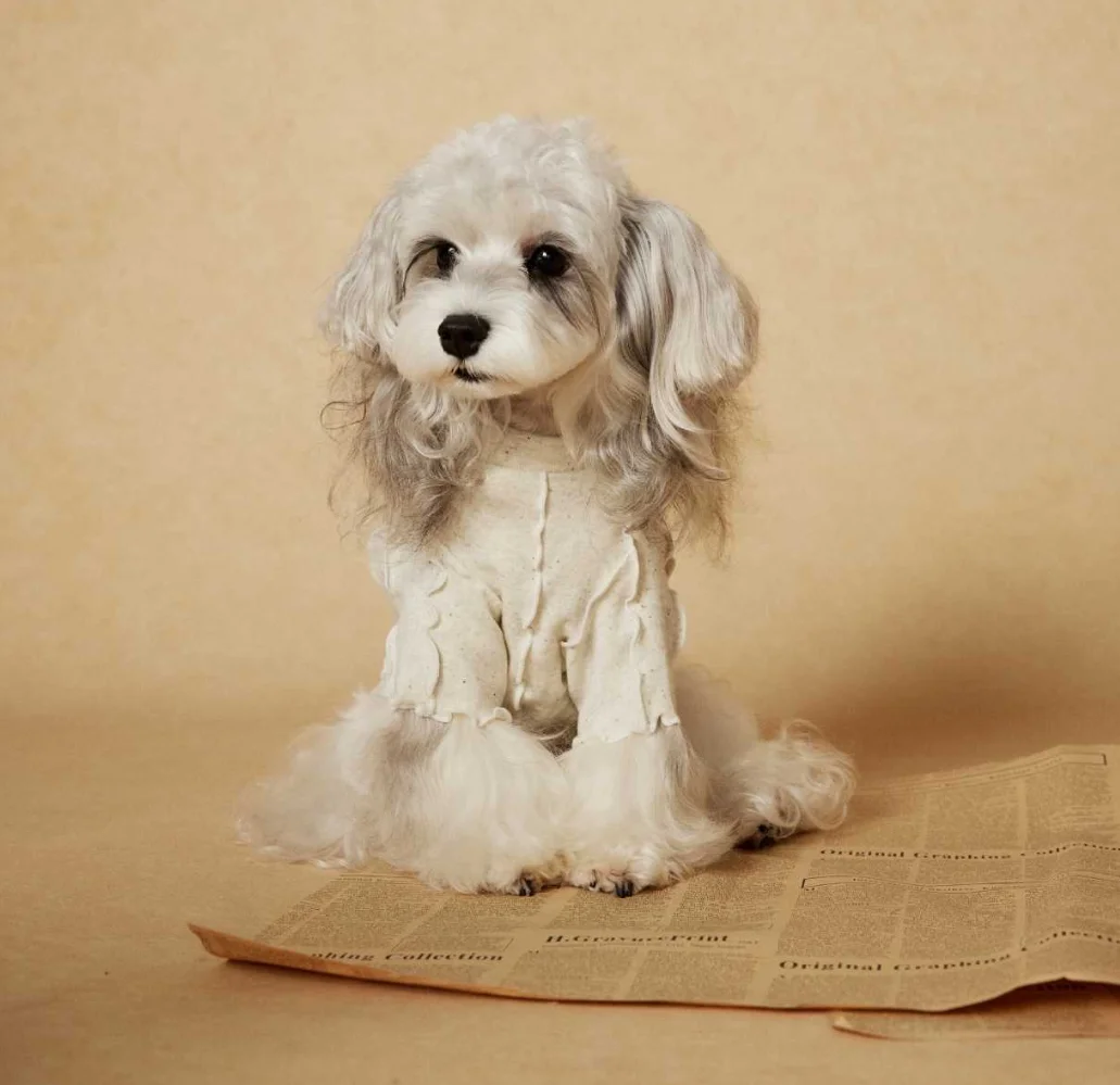 

Wavy Design Suitable For Both Autumn And Winter Extremely Comfortable Pet Base Layer Dog Clothes