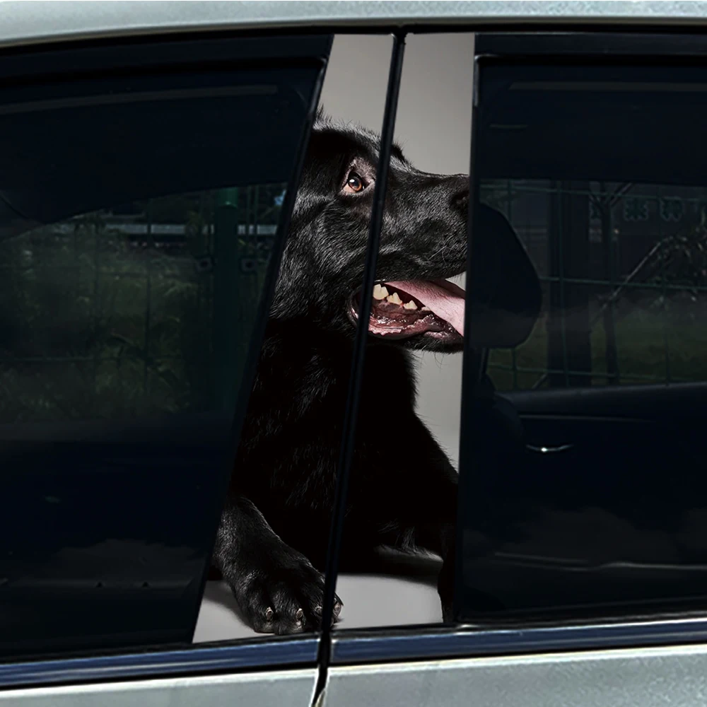 1/2pcs German Doberman Pinscher Shepherd Car Stickers DIY Car B-pillar Cover Scratches Waterproof Durable Auto PET Decals
