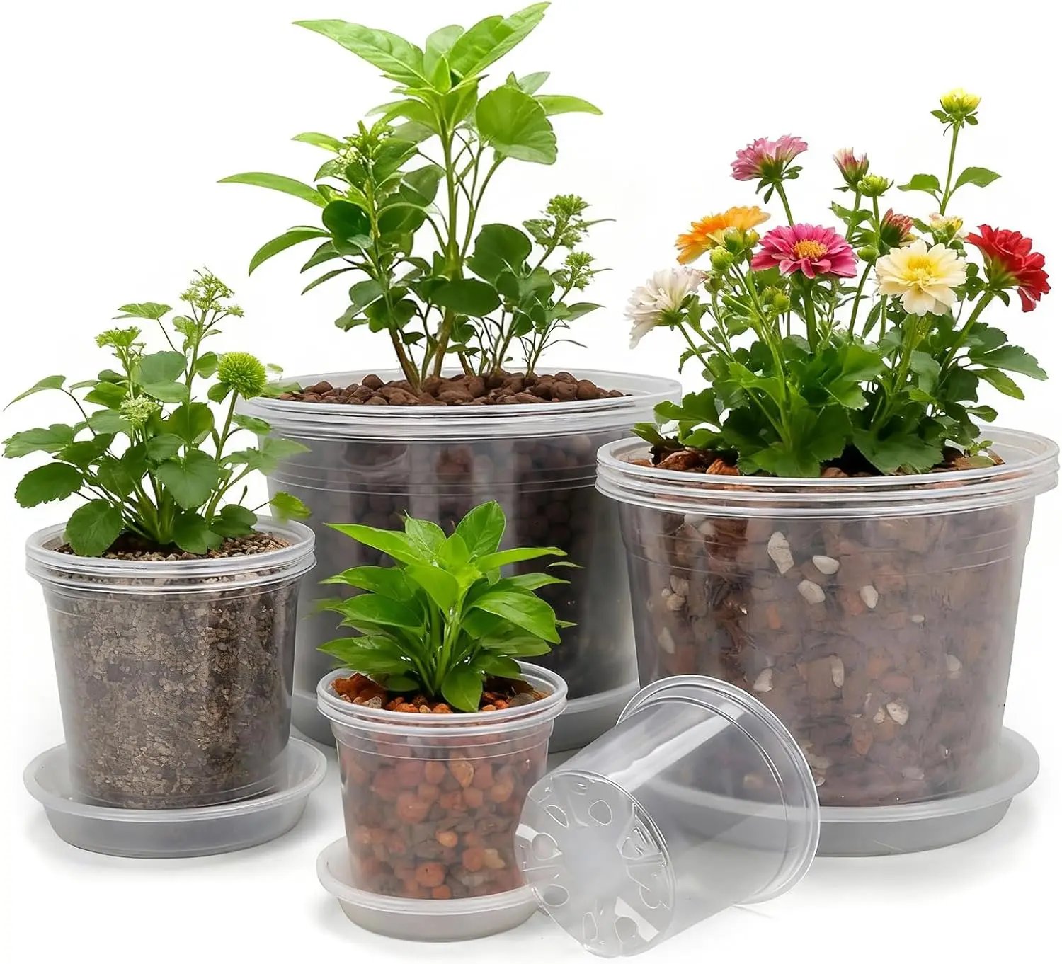 

10/8/6/4 Inch Clear Nursery Pots with Drainage Holes and Saucers, 12 Pack Clear Pots for Plants Variety Pack, Seedling P