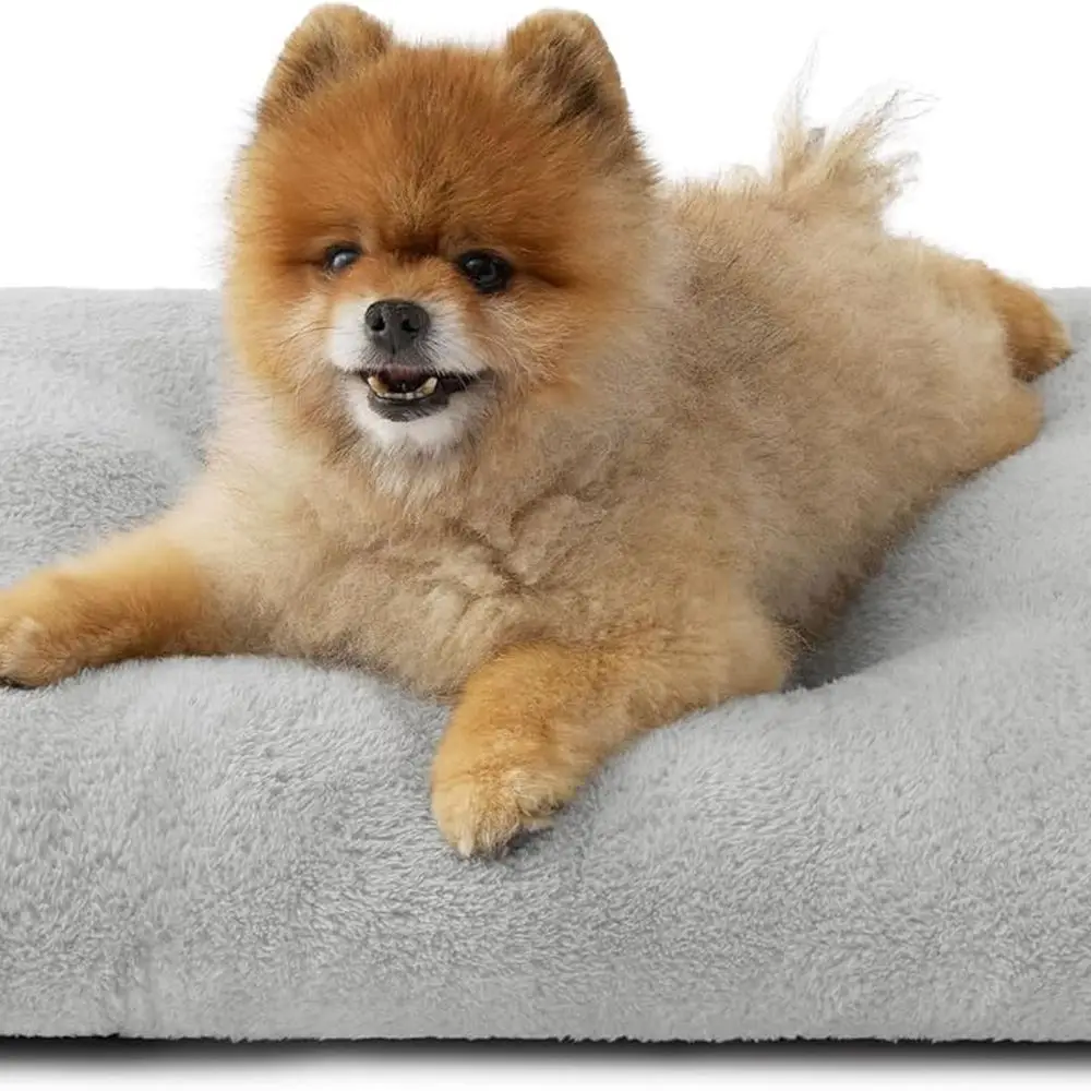 

Кровать для маленькой собаки для моющегося ящика, удобная пушистая плюшевая подушка, коробка для кровати, нескользящая и машинная стирка, питомник для сна домашних животных M