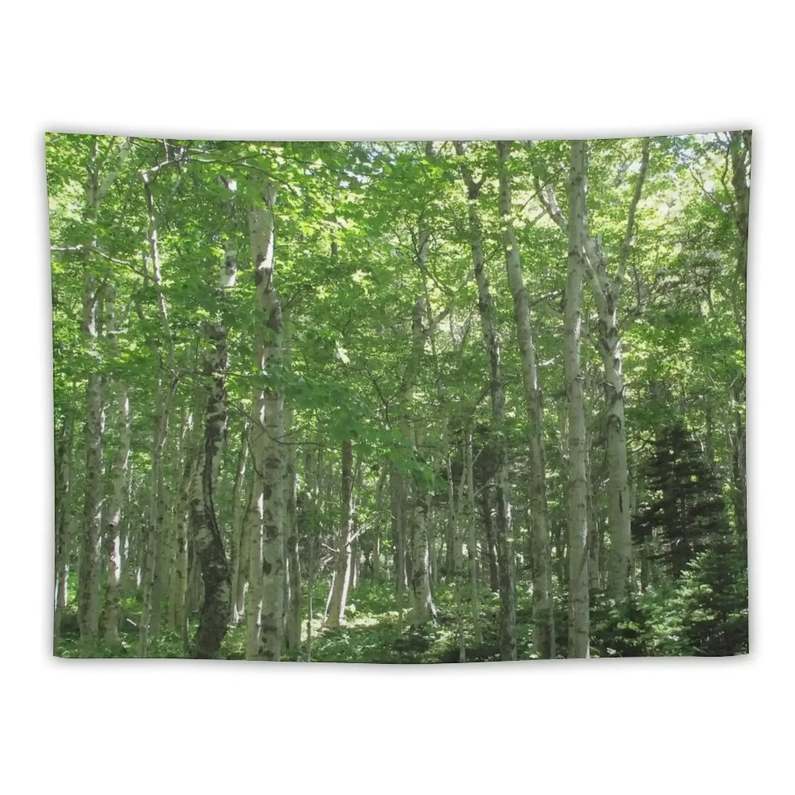 Watercolor Landscape, Cape Breton 09, Nova Scotia, Canada Tapestry Cute Decor Decoration Aesthetic Decoration Home Tapestry