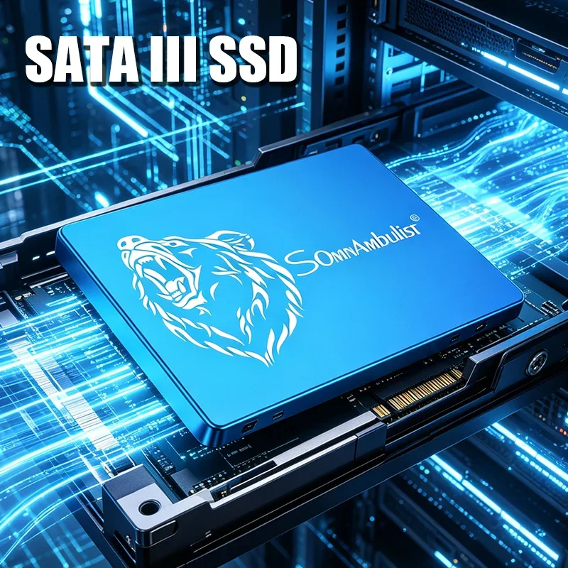 

SomnAmbulist SSD Solid State Drive 128GB 240GB 256GB 480GB 512GB 960GB for Laptop Desktop Solid State Drive Sata3 SSD 1TB 2TB