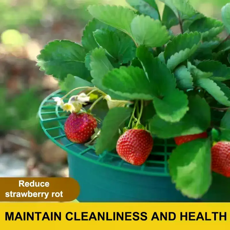 Strawberry Plant Support Stand With Legs Plastic Round Growing Rack To Keep Berries Clean Prevent Rot