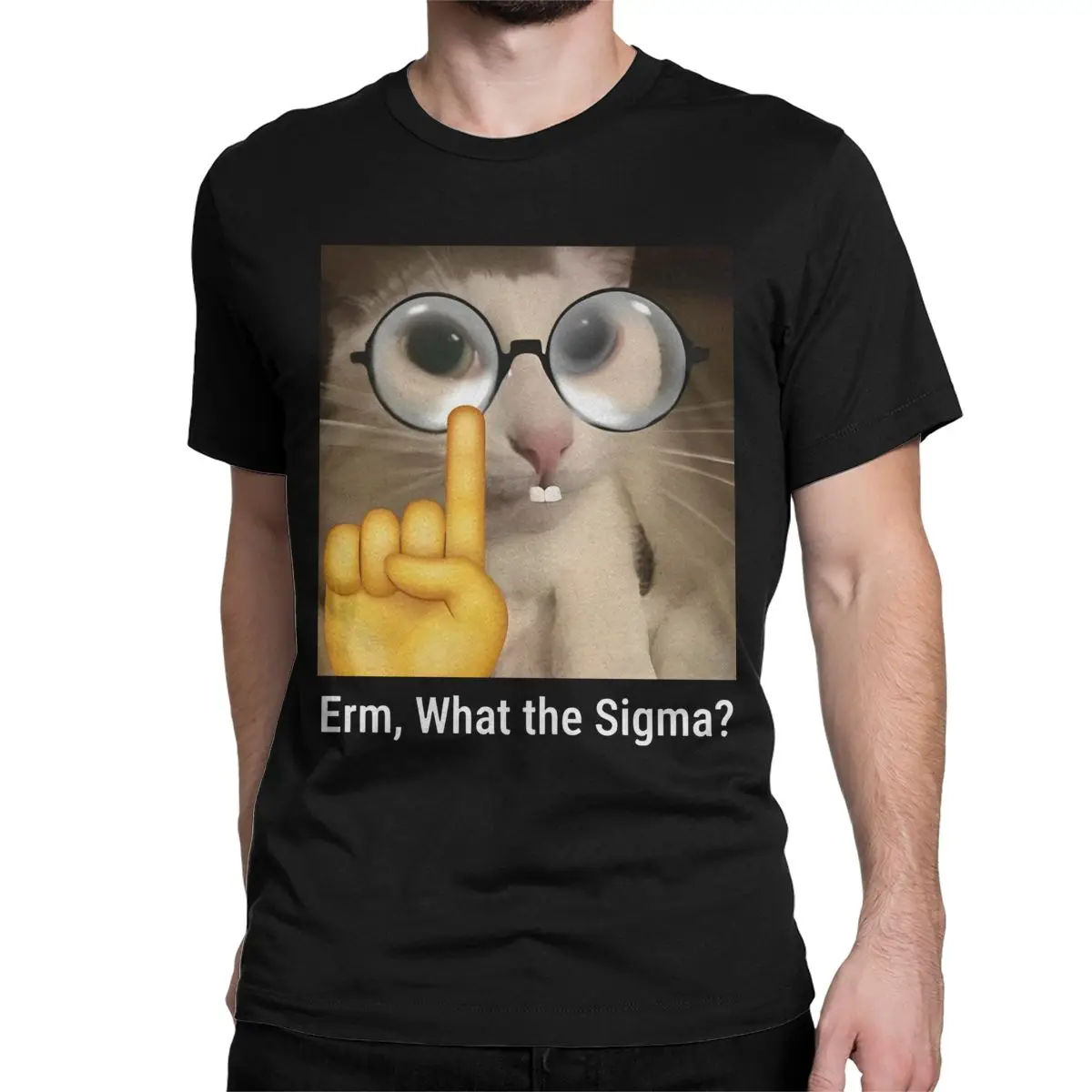 Funny Erm What The Sigma T-Shirts for Men Women Round Collar 100% Cotton T Shirt Funny Meme Cat Short Sleeve Tee Shirt Summer