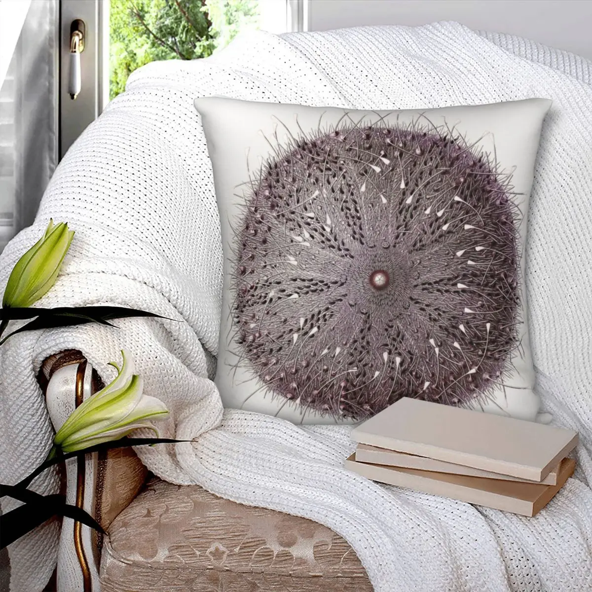 Antique Sea Urchin By Albert I Square Pillowcase Polyester Pillow Cover Velvet Cushion Zip Decorative Comfort Throw Pillow Home