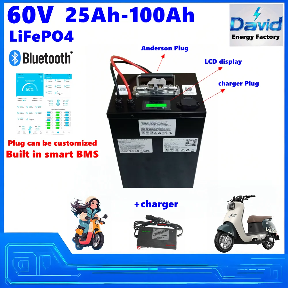  100Ah 60V 20Ah 60Ah 80Ah 30Ah 60V 40Ah 150Ah 120Ah LiFePO4 Lithium battery with Bluetooth APP BMS for Scooter boat +charger