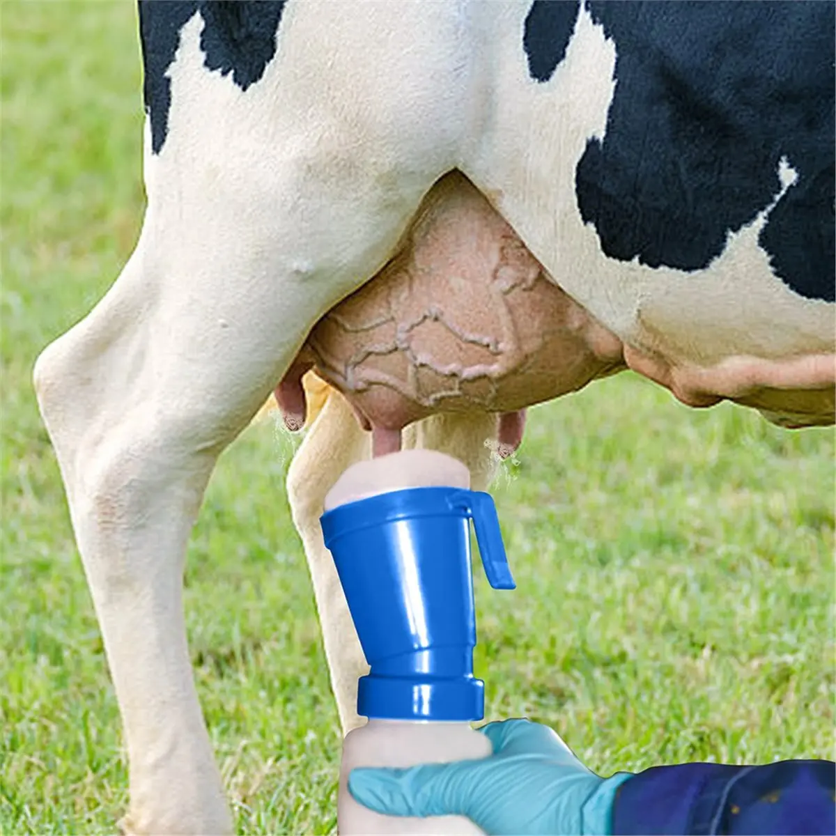 Home Tool 2pcs Teat Dip Cup Convenient Professional Prevent Return Portable Nipple Cleaning Livestock Supplies for Cattle Goat C
