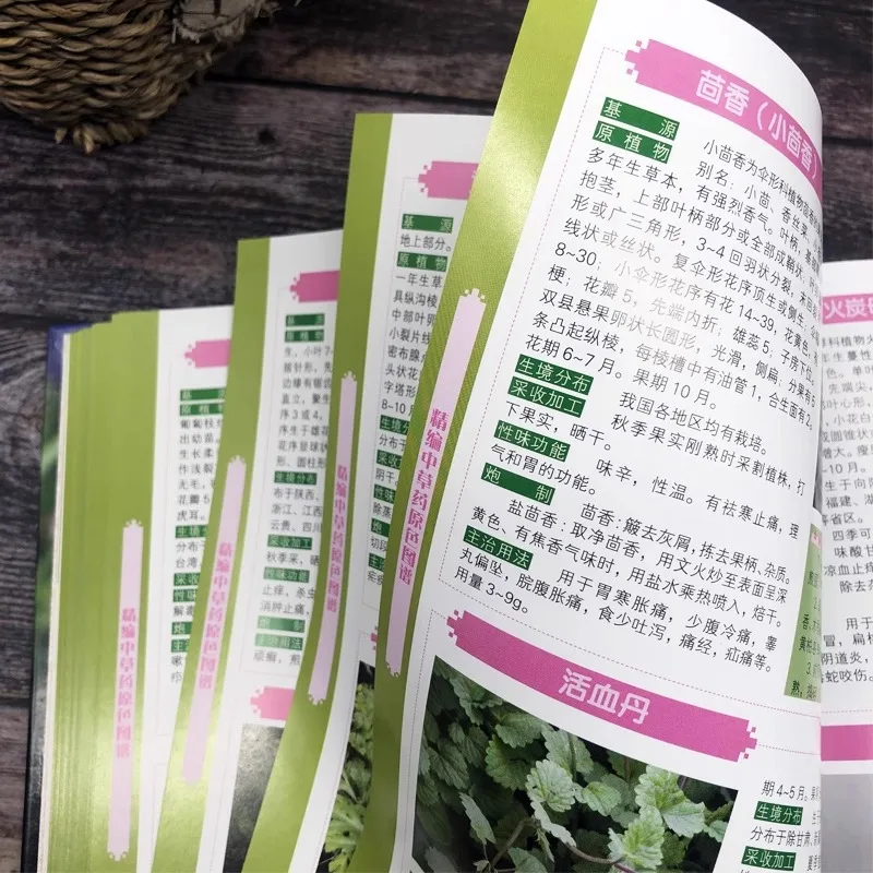 خلاصة أطلس الألوان الأصلية للطب الصيني التقليدي في الصيدلة الصينية #3