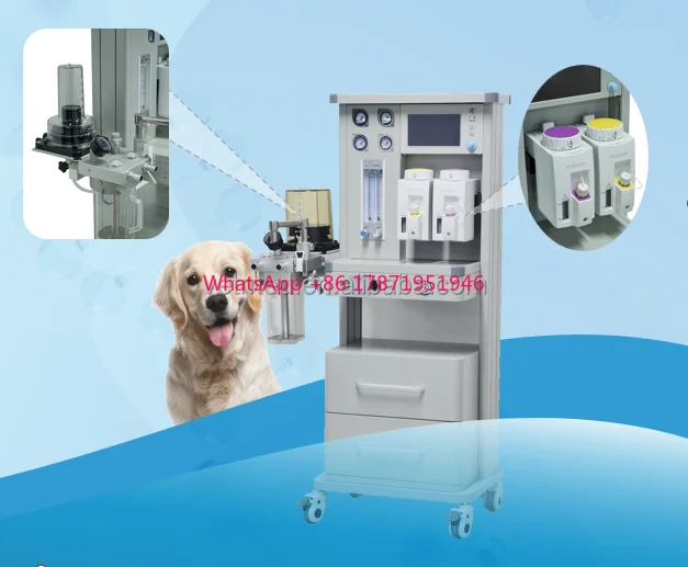 Anestesia Veterinaria Machine numbness Machine for Small Animal Use